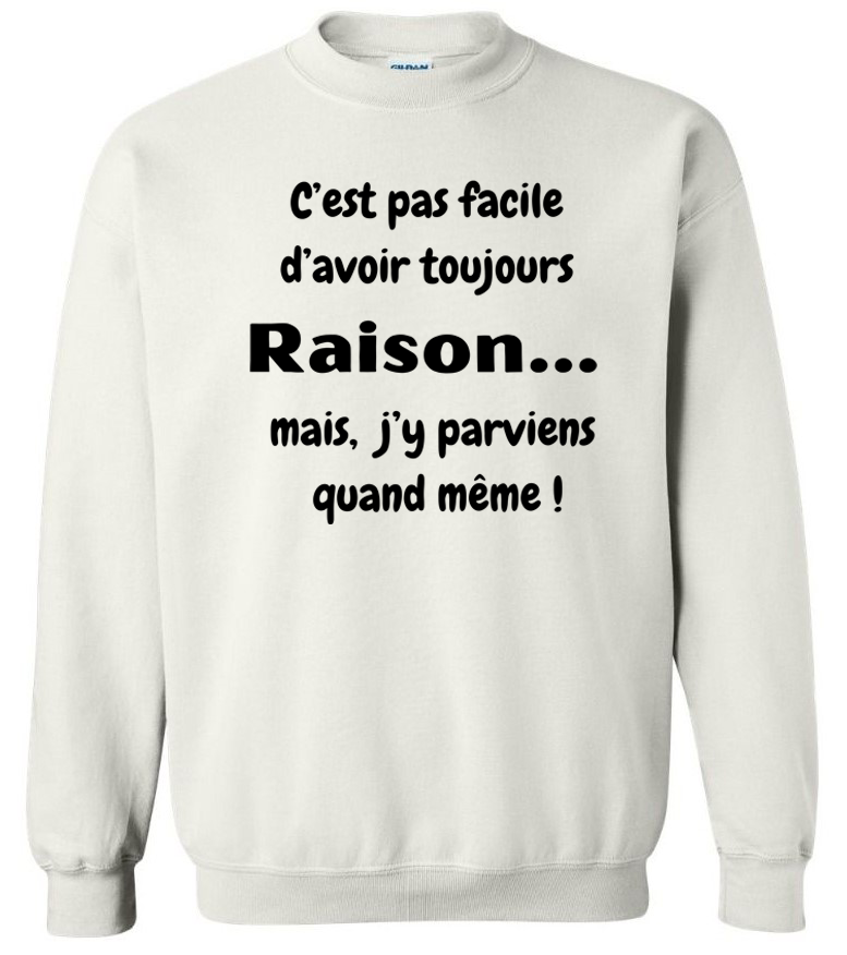 Avoir raison !