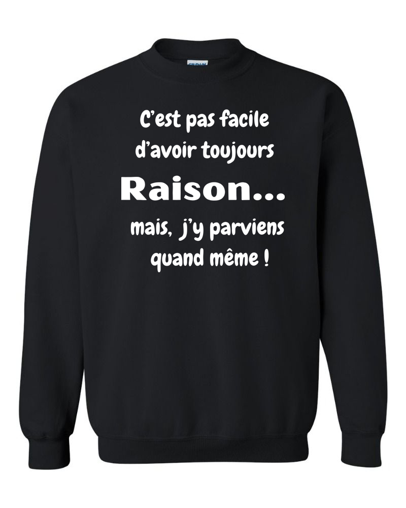 Avoir raison !